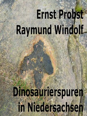 cover image of Dinosaurierspuren in Niedersachsen